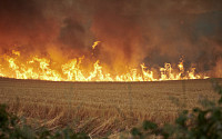 서유럽 덮친 이른 폭염, 스페인‧독일 산불 진압도 어려워