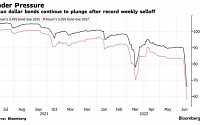 푸싱 달러채권 가격 급락...중국 정크본드 시장 새 국면 접어드나