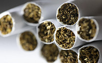 미국 FDA, 담배 니코틴 함량 대폭 줄인다...“중독성 없는 수준으로 감축”
