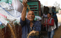 숨 돌린 밀 가격...이집트 “우리가 수입 줄이겠다”