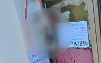 새끼고양이 죽여 사체 매단 30대 검거…묵비권 행사로 수사 난항