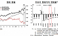 원ㆍ달러 환율, 1306.3원으로 2009년 이후 최고치