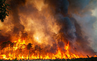 유럽 폭염 비상...프랑스·스페인 등 사망자 속출에 산불까지 확산
