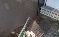 “어떻게 팔아요”...추모 국화 무료 나눔한 인하대 꽃집