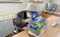서울시, ‘귀뚜라미로 어르신 힐링’ 치유곤충사업 추진