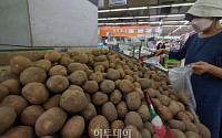[포토] 1년 전보다 60.7% 가격 상승한 감자
