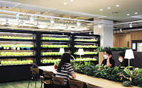 CJ프레시웨이, 스마트팜 활용 급식 메뉴 ‘초신선 샐러드’ 운영