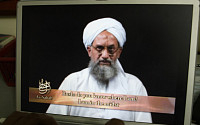 미, 드론 공습으로 빈 라덴 후계자 알 자와히리 제거