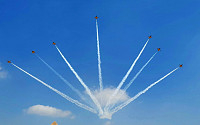 공군 블랙이글스, 이집트 피라미드 지구서 에어쇼… FA-50 수출 청신호
