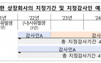 금감원, 31일 감사인 지정 제도 온라인 설명회 개최