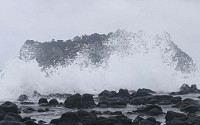 [속보] 태풍 ‘힌남노’에 일본 오키나와 11만 명 피난 지시