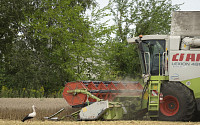 밀·콩 등 전략품목, 2027년까지 해외서 600만 톤 확보