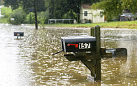 미국 조지아 200년 만의 폭우에 비상사태 선언