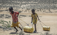 세계 경제 뒤흔드는 이상 기후…상반기 글로벌 가뭄 피해액 132억 달러
