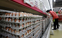 전국 산란계 농가 계란 살충제 검사…모두 적합 판정