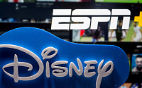 디즈니, ‘행동주의 투자자’ 대니얼 롭에 승리…ESPN 분사 요구 철회