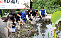 삼성디스플레이, 멸종 위기 2급 ‘물장군’ 살리기 나서