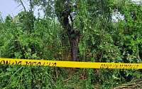 인도 10대 자매, 집단 성폭행ㆍ살인으로 생 마감…나무에 매달려 발견된 이유