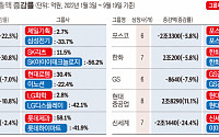 ‘삼전ㆍ현대차개미’의 눈물...10대그룹 시총 250조 허공에