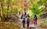 단풍놀이도 좋지만…사고 가장 많은 10월, 중년 등산객 주의 필요