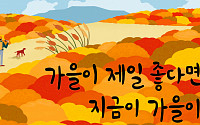 “가을이 제일 좋다면서요”…서울시, 가을맞이 꿈새김판 공개
