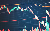 [Bit코인] 리플 주도 상승세 꺾여…“비트코인, 변동성 폭발·하락 경고”