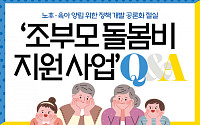[카드뉴스] 서울시 ‘조부모(육아 조력자) 돌봄비 지원 사업’ Q&A