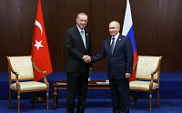 유럽서 끈 떨어진 러시아, ‘터키스트림’ 성공할까