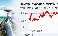 서구권, 겨울 에너지 대란 피하나…미국 가스값, 2년 만에 ‘마이너스’·유럽은 100유로 아래로