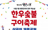 11월 1일은 대한민국이 한우 먹는날…한우숯불구이축제 전국서 개최