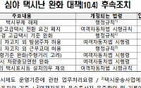 이달 22일부터 수도권 택시부제 해제…택시표시등도 사라진다