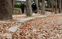 [포토] '낙엽사이로 산책'