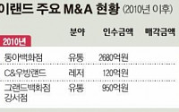 'M&amp;A 강자' 이랜드 시중銀서 1조 조달 왜?