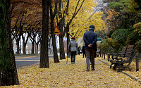 [포토] '낙엽길 산책'