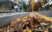 [포토] '낙엽으로 막힌 배수구'