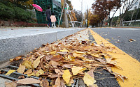 &quot;낙엽이 배수로 막아&quot;…집중호우에 서울 은평구 13가구 침수 피해
