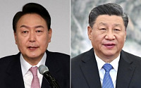 尹-시진핑, 정상회담 앞두고 환담…한중 북핵대표 협의도
