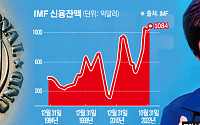 [세계의 창] IMF 돈 퍼붓는데 국가부도 위기 여전한 이유는?…글로벌 전문가들 “문제는 대출 방식”