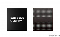 삼성전자, 업계 최초 성능ㆍ용량 2배 높인 ‘GDDR6W’ 개발