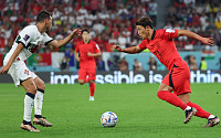 [카타르 월드컵] '황희찬 역전골' 한국 2-1 포르투갈(후반 45분)