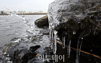 [포토] 영하권 날씨, 낮에도 녹지 않는 얼음 '꽁꽁'