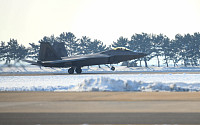 기상 악화에 한국 전개 F-22 복귀…22일 연합공중훈련 취소