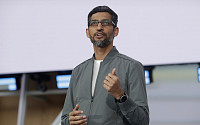 구글 CEO “AI 발전 속도 대비해야...정부가 개입할 적기”