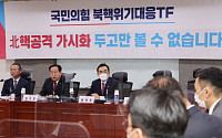 “文 비핵화는 허구, 尹 담대한 구상은 가능”…與, 모호한 대북강경노선