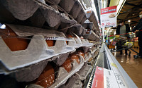 [포토] 계란값 폭등 대비 스페인산 신선란 공급