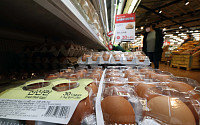 [포토] 스페인산 계란 121만개 시중에 공급