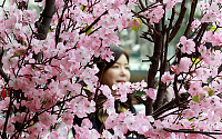 [포토]벚꽃 미소