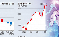 우울한 실적 전망에도 기술주 랠리…월가는 위험 경고