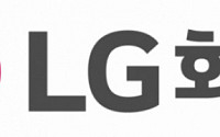S&amp;P “LG엔솔·화학, ‘긍정적→안정적’ 조정…대규모 설비투자에 따른 차입금 반영”