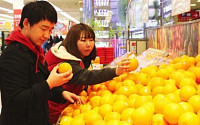 감귤 가격 올라…오렌지 인기 급상승